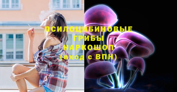 a pvp Верея