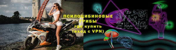 PSILOCYBIN Верхнеуральск