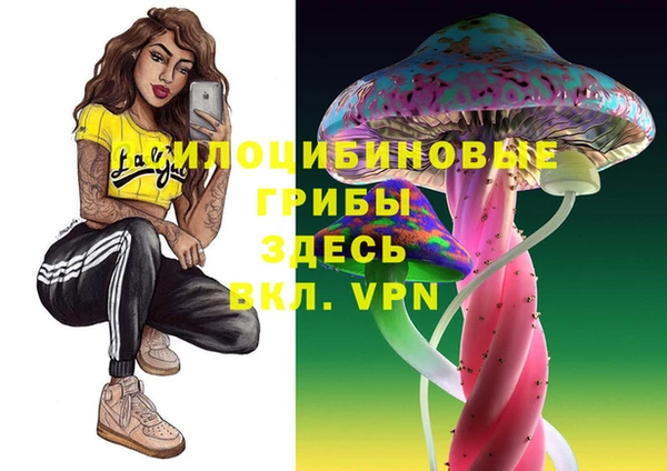 a pvp Верея