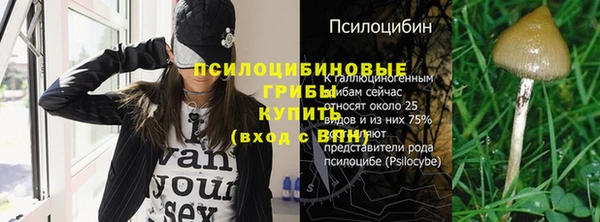 PSILOCYBIN Верхнеуральск