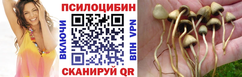 Галлюциногенные грибы GOLDEN TEACHER  Камышлов 